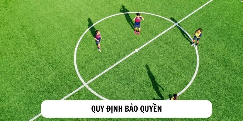 quy-dinh-ban-quyen-chi-tiet